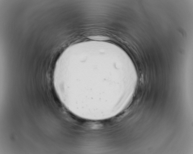 X0000113040424200910081215
