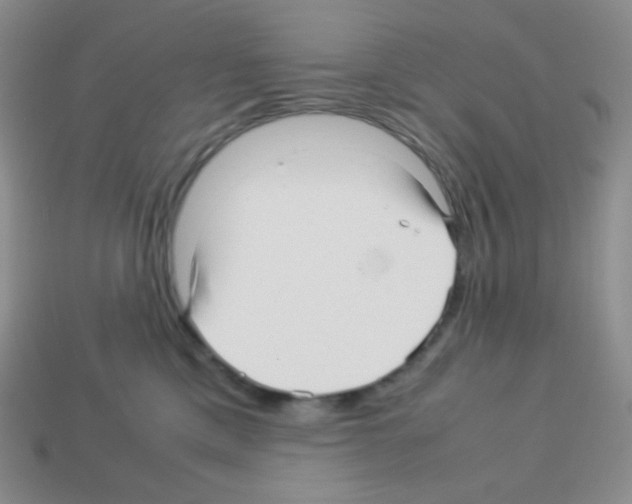X0000113040425200910081215