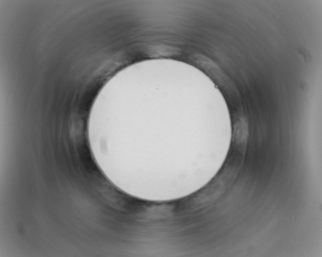 X0000113040426200910081215