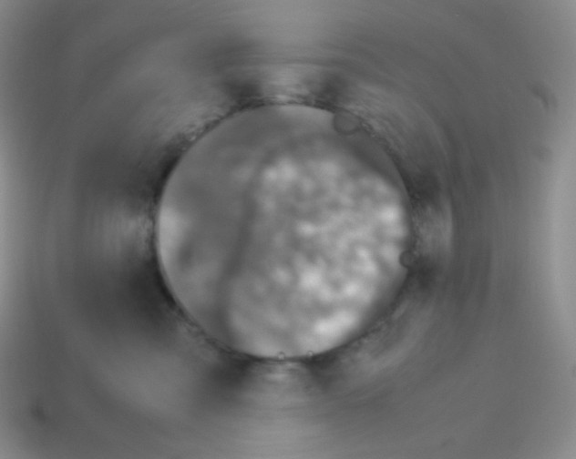 X0000113040427200910081215