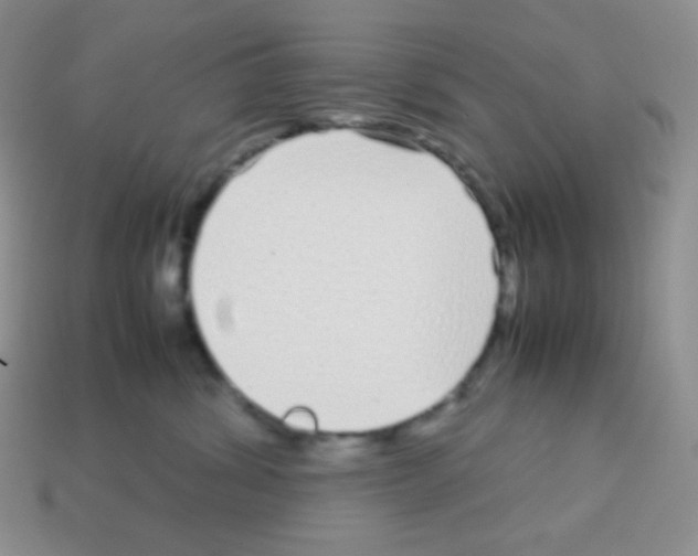 X0000113040428200910081215