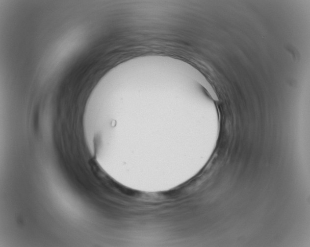 X0000113040429200910081215