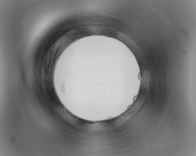 X0000113040430200910081215