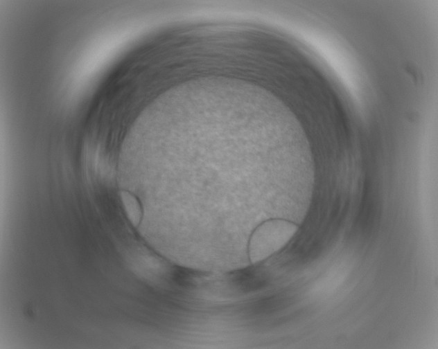X0000113040431200910081215