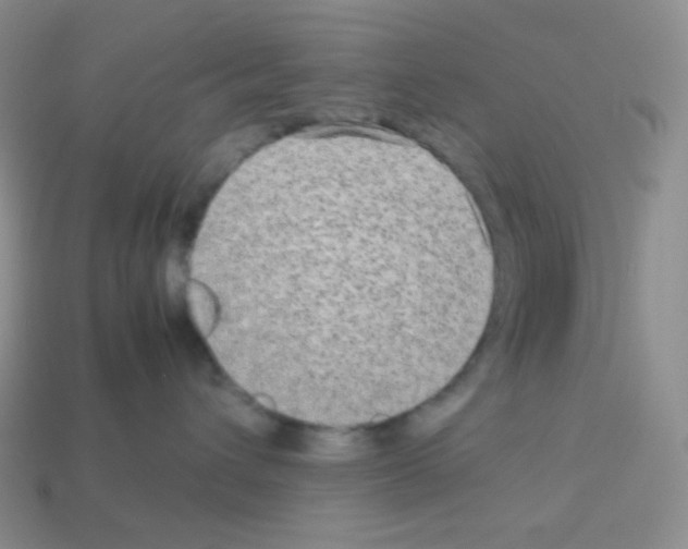 X0000113040432200910081215