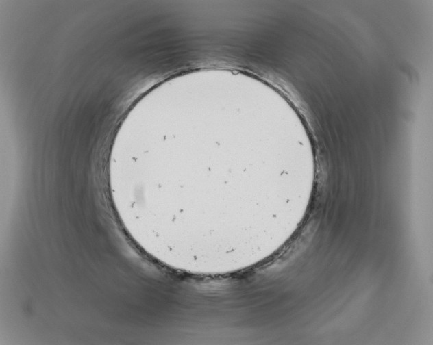 X0000113040433200910081214