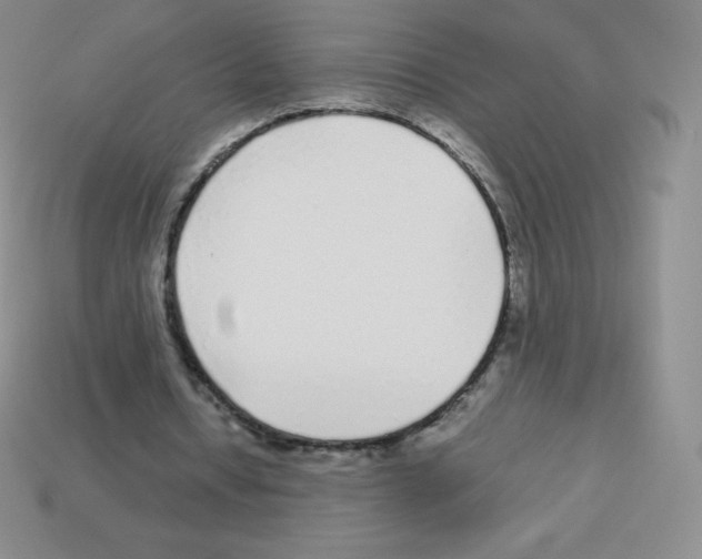 X0000113040434200910081214