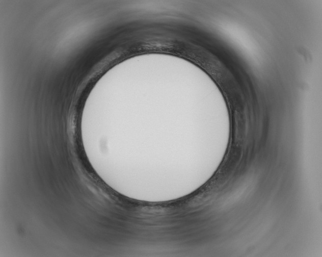X0000113040435200910081214