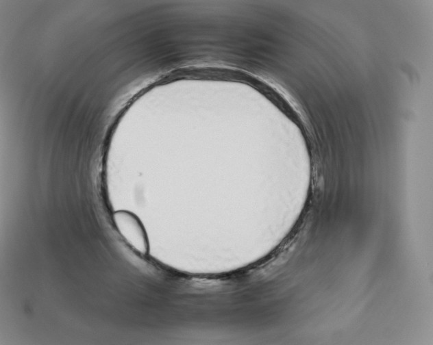 X0000113040437200910081214