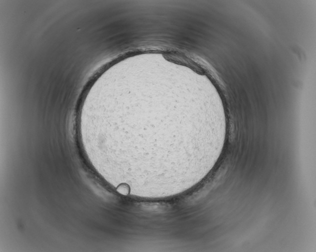 X0000113040439200910081214