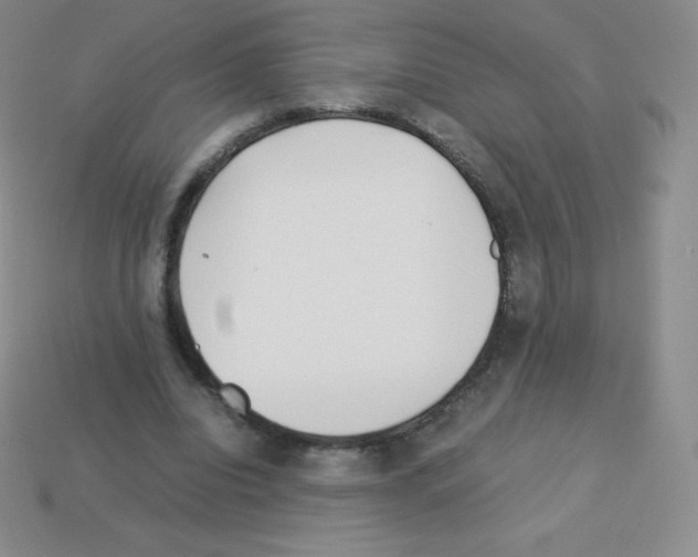 X0000113040440200910081214