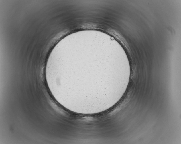 X0000113040441200910081214