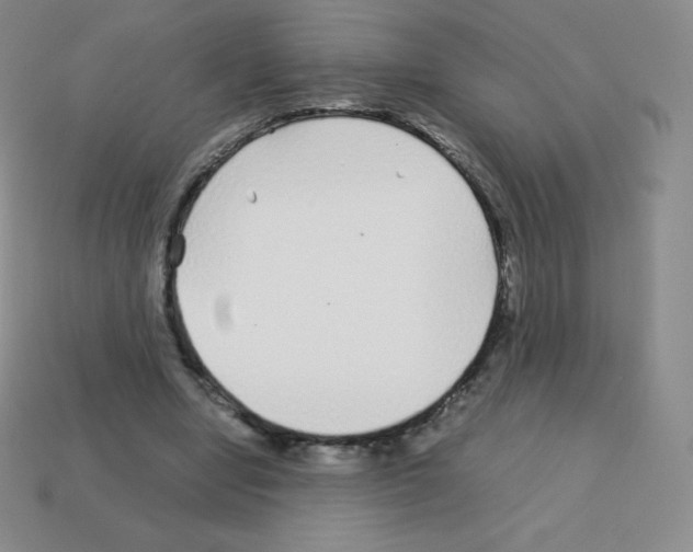 X0000113040442200910081214
