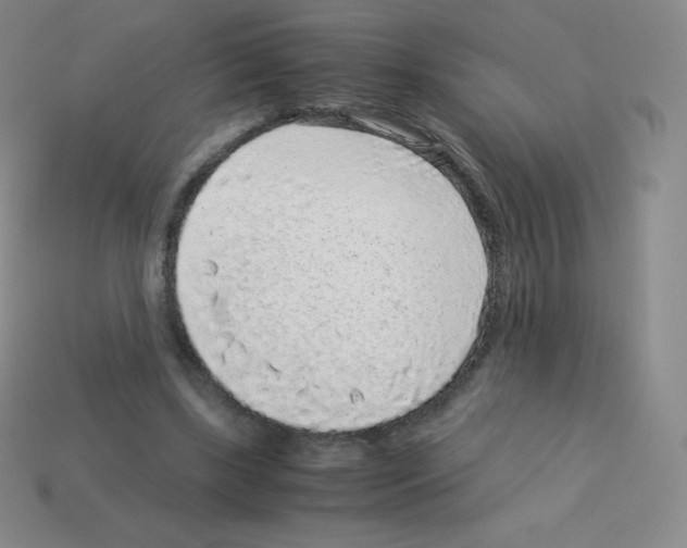 X0000113040443200910081214