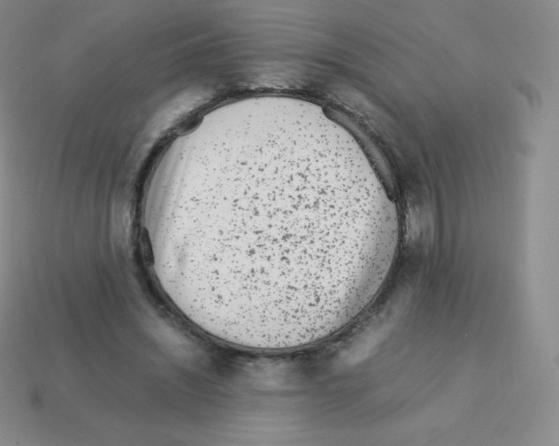 X0000113040444200910081214