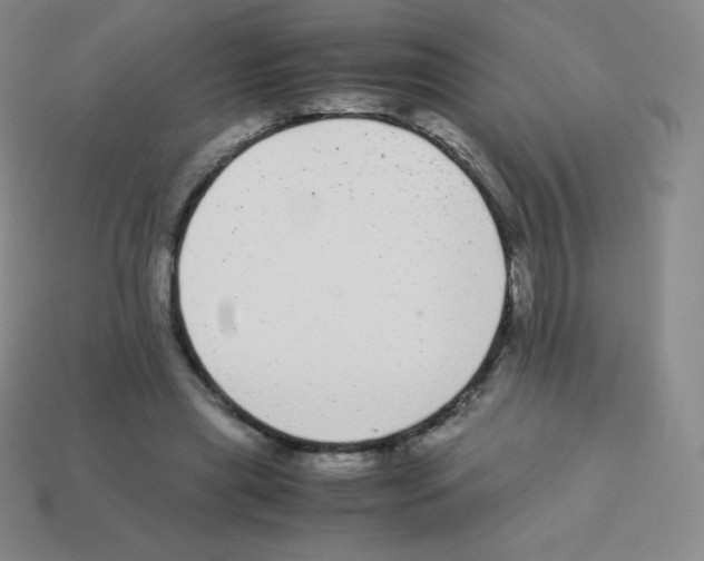X0000113040445200910081214
