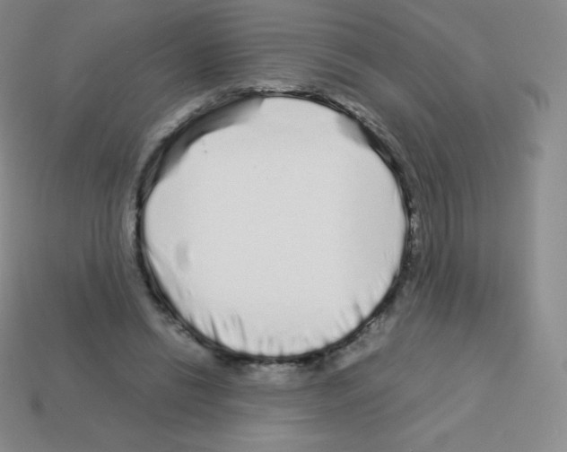X0000113040446200910081214