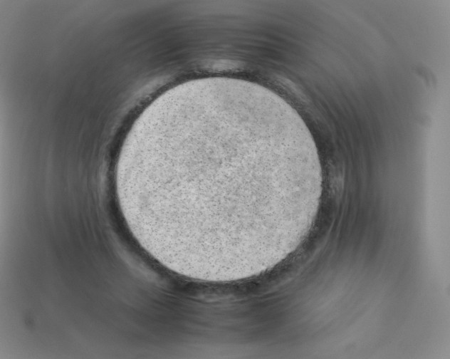 X0000113040447200910081214