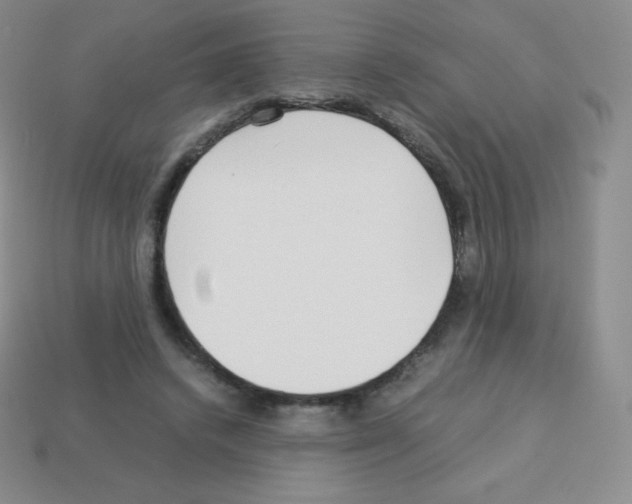 X0000113040448200910081214