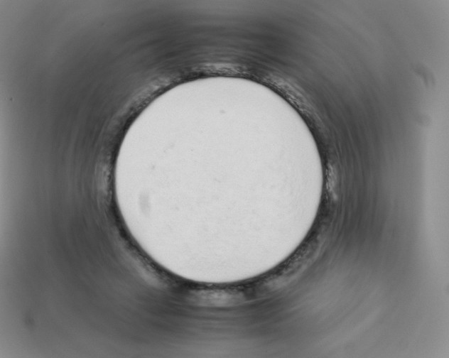 X0000113040449200910081214