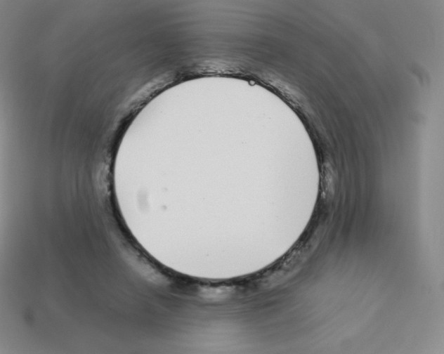 X0000113040450200910081214