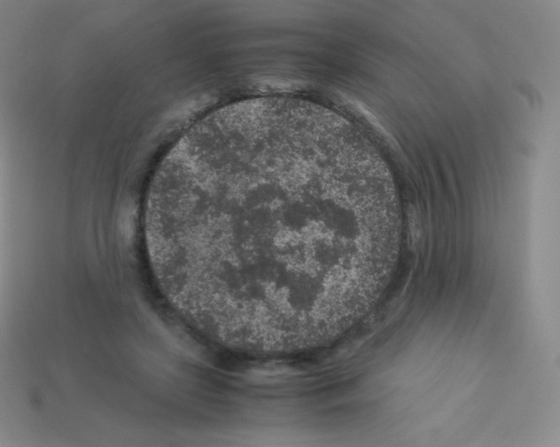 X0000113040451200910081214