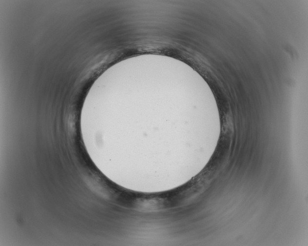 X0000113040452200910081214