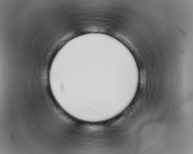 X0000113040453200910081214