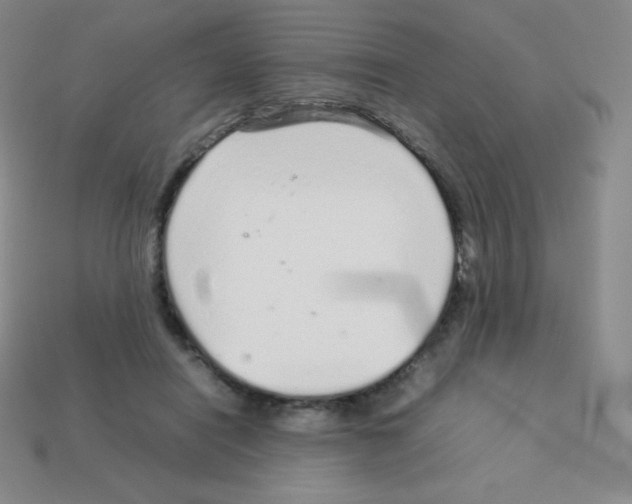 X0000113040454200910081214