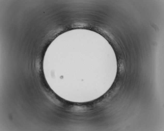 X0000113040455200910081214