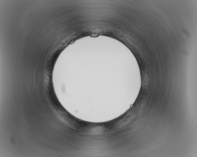X0000113040456200910081214