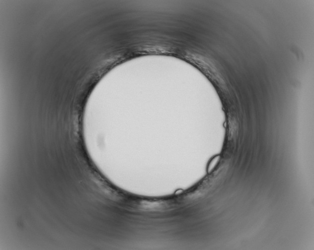 X0000113040457200910081214
