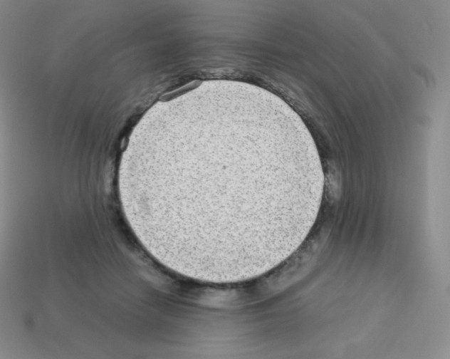 X0000113040458200910081214