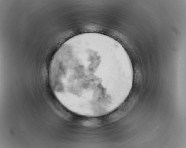 X0000113040459200910081214