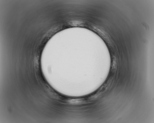 X0000113040461200910081214