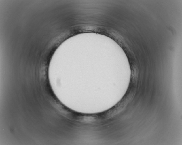 X0000113040462200910081214