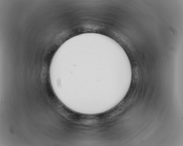 X0000113040463200910081214