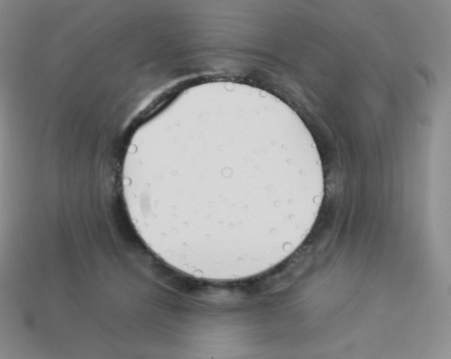 X0000113040464200910081214