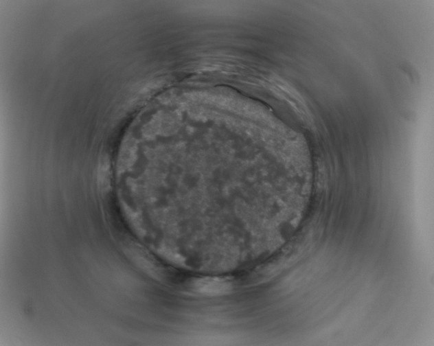X0000113040465200910081214