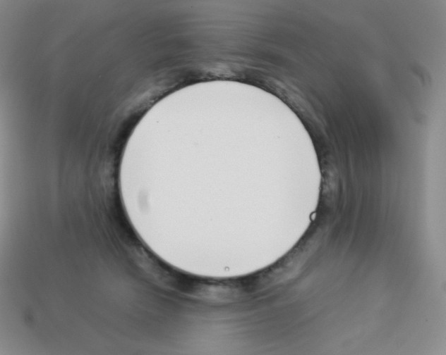 X0000113040466200910081214