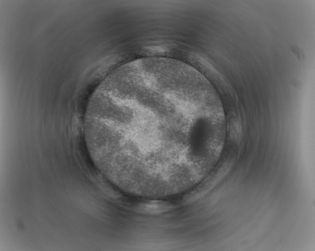 X0000113040467200910081214