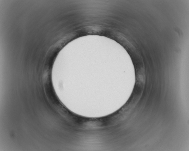 X0000113040468200910081214
