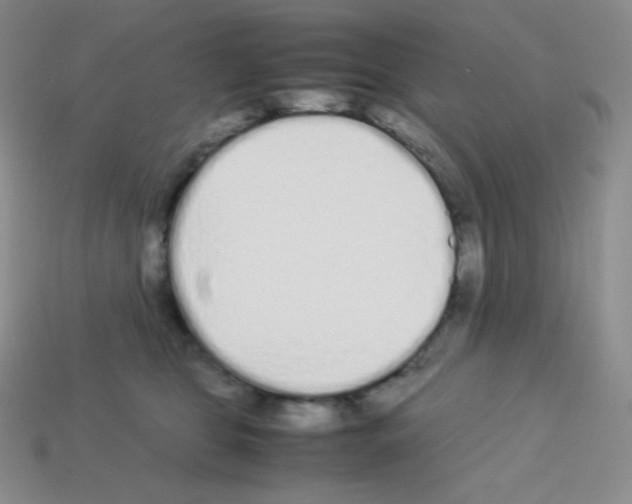 X0000113040469200910081214