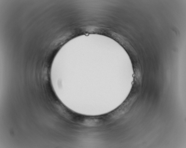 X0000113040470200910081214