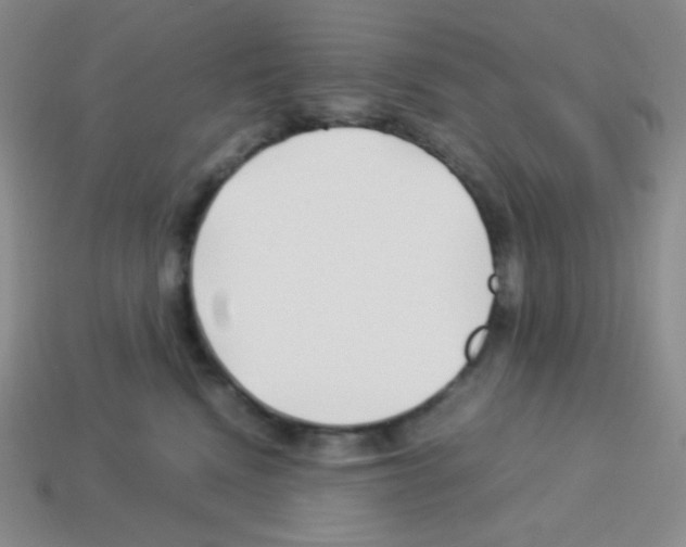 X0000113040472200910081215