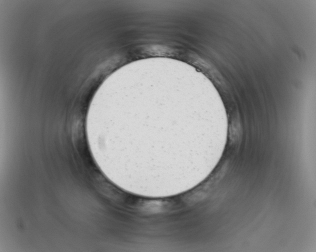 X0000113040473200910081215