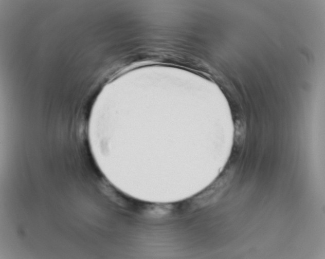 X0000113040474200910081215