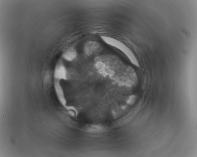 X0000113040475200910081215