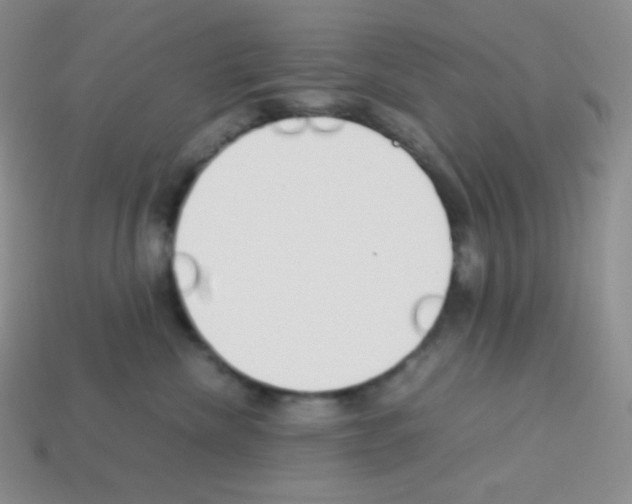 X0000113040476200910081215