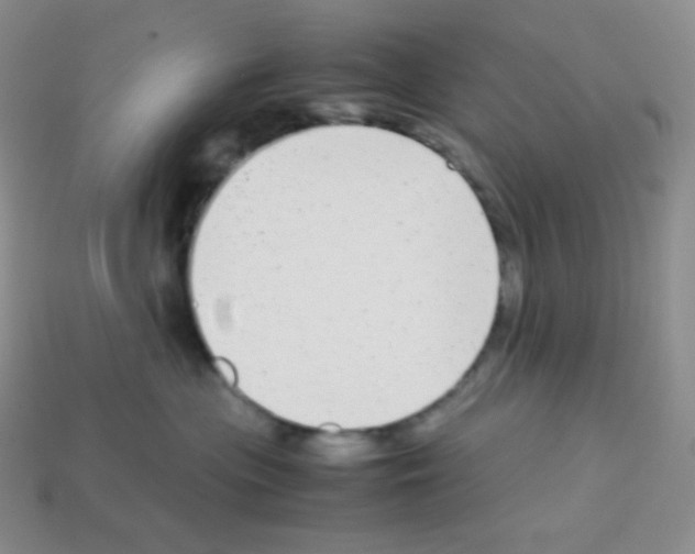 X0000113040477200910081215